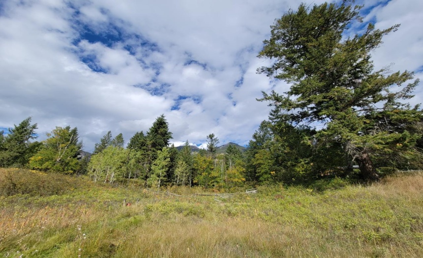 Lot 1 BERREY ROAD, Brisco, British Columbia V0A1B0, ,Vacant Land,For Sale,BERREY ROAD,2473077