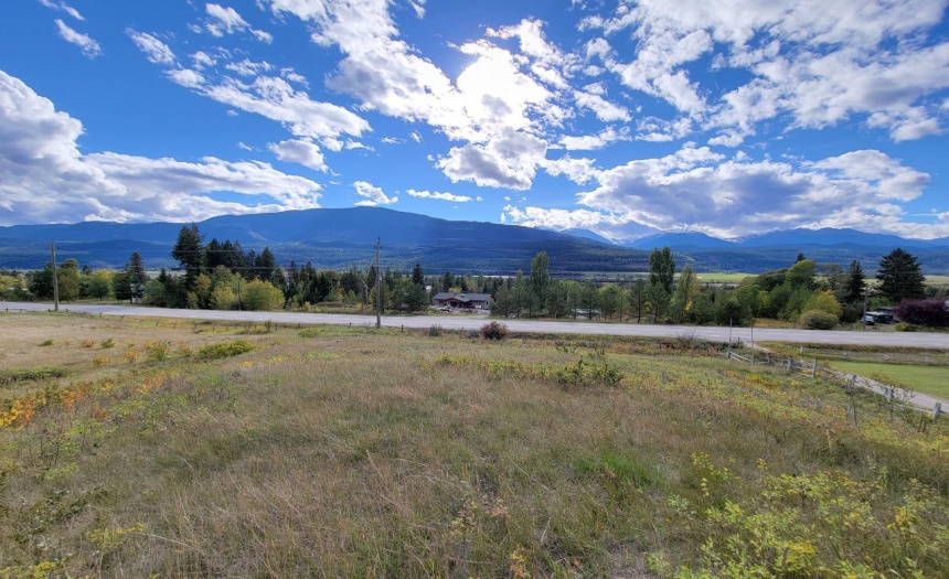 Lot 1 BERREY ROAD, Brisco, British Columbia V0A1B0, ,Vacant Land,For Sale,BERREY ROAD,2473077