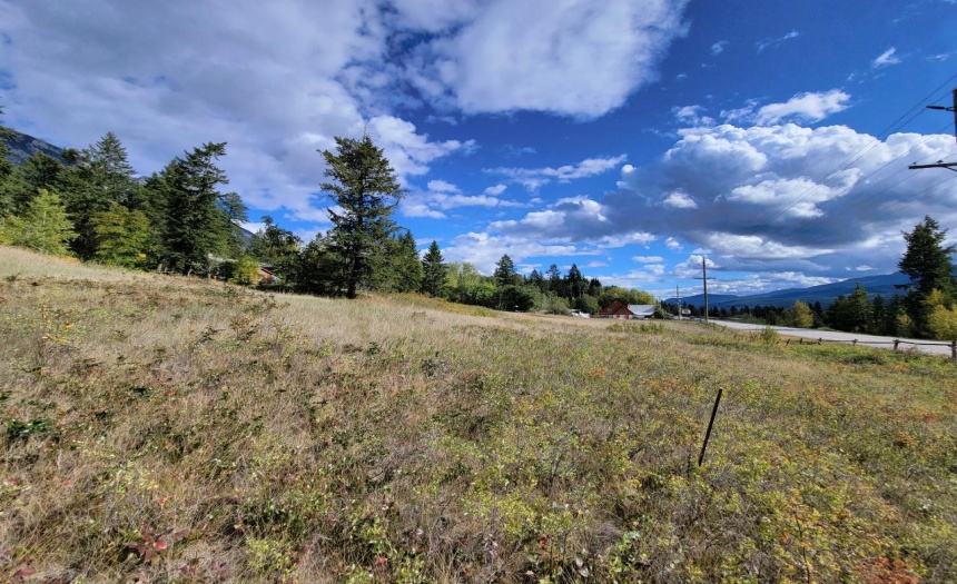 Lot 1 BERREY ROAD, Brisco, British Columbia V0A1B0, ,Vacant Land,For Sale,BERREY ROAD,2473077