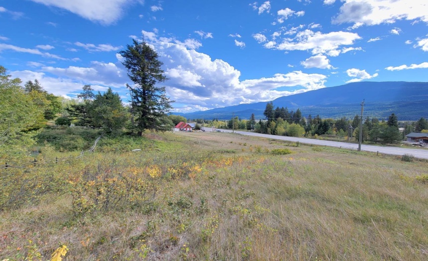 Lot 1 BERREY ROAD, Brisco, British Columbia V0A1B0, ,Vacant Land,For Sale,BERREY ROAD,2473077