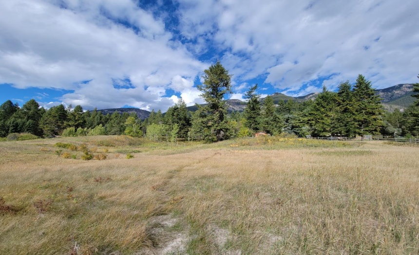 Lot 1 BERREY ROAD, Brisco, British Columbia V0A1B0, ,Vacant Land,For Sale,BERREY ROAD,2473077