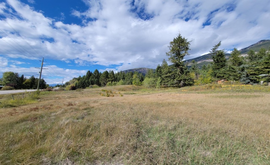 Lot 1 BERREY ROAD, Brisco, British Columbia V0A1B0, ,Vacant Land,For Sale,BERREY ROAD,2473077