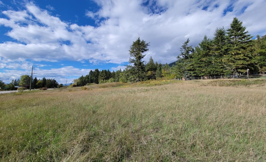 Lot 1 BERREY ROAD, Brisco, British Columbia V0A1B0, ,Vacant Land,For Sale,BERREY ROAD,2473077