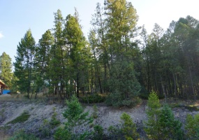 Lot 42 MOUNTAIN VIEW DRIVE, Fairmont Hot Springs, British Columbia V0B1L1, ,Vacant Land,For Sale,MOUNTAIN VIEW DRIVE,2473309