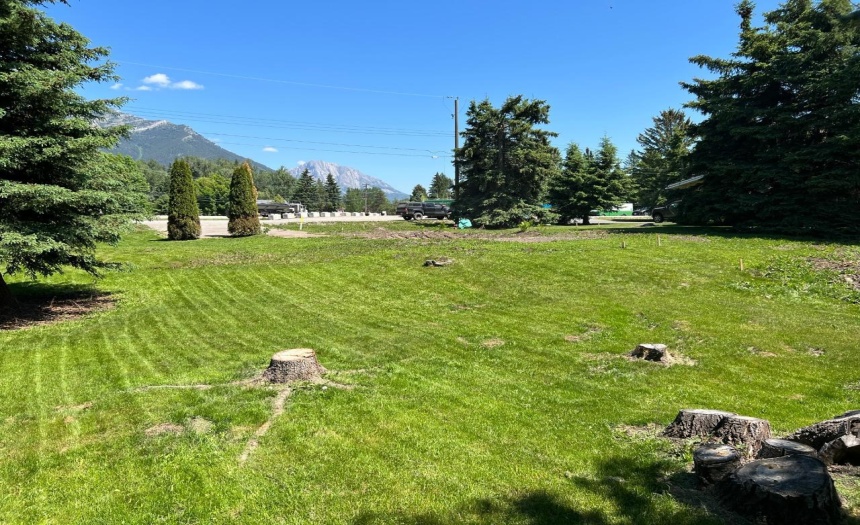 1360 MCLEOD AVENUE, Fernie, British Columbia V0B1M1, ,Vacant Land,For Sale,MCLEOD AVENUE,2473327