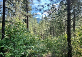 Lot 11 EVANS RD, Creston, British Columbia V0B1G7, ,Vacant Land,For Sale,EVANS RD,2473335