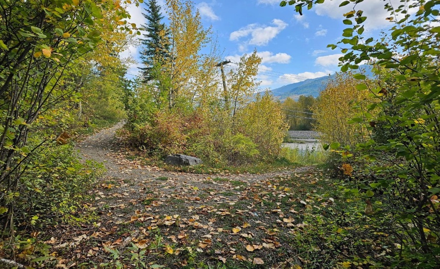 Lot 1 BURMA ROAD, Fernie, British Columbia V0B1M5, ,Vacant Land,For Sale,BURMA ROAD,2473344