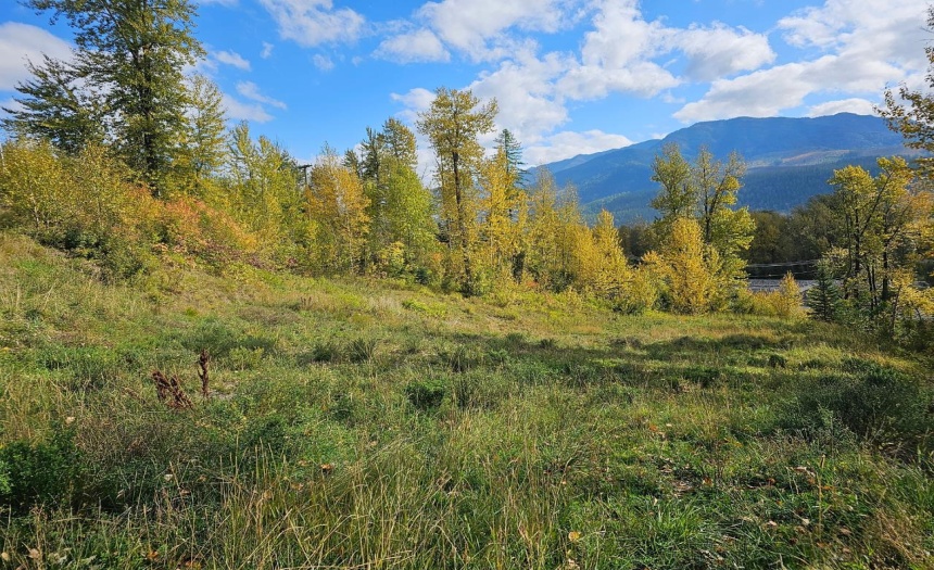 Lot 1 BURMA ROAD, Fernie, British Columbia V0B1M5, ,Vacant Land,For Sale,BURMA ROAD,2473344