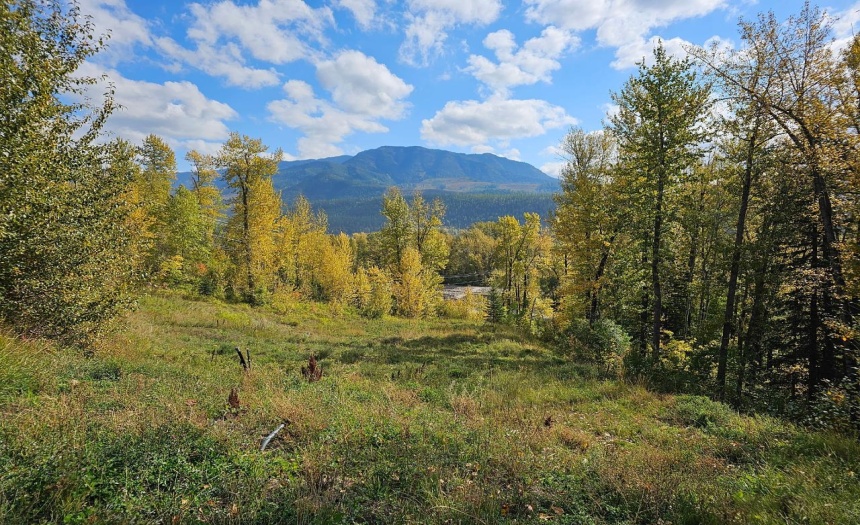 Lot 1 BURMA ROAD, Fernie, British Columbia V0B1M5, ,Vacant Land,For Sale,BURMA ROAD,2473344