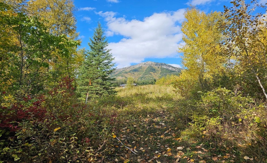 Lot 1 BURMA ROAD, Fernie, British Columbia V0B1M5, ,Vacant Land,For Sale,BURMA ROAD,2473344