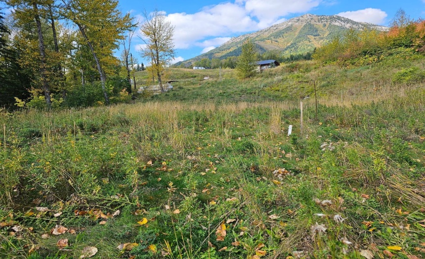 Lot 1 BURMA ROAD, Fernie, British Columbia V0B1M5, ,Vacant Land,For Sale,BURMA ROAD,2473344