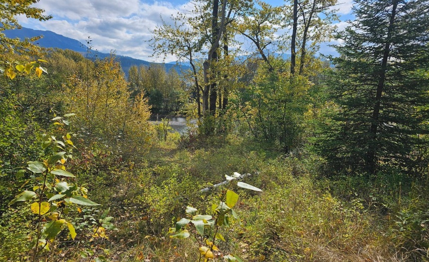 Lot 1 BURMA ROAD, Fernie, British Columbia V0B1M5, ,Vacant Land,For Sale,BURMA ROAD,2473344