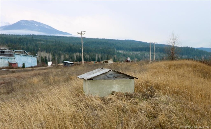 2815 DONALD ROAD, Golden, British Columbia V0A1H0, ,Vacant Land,For Sale,DONALD ROAD,2473376