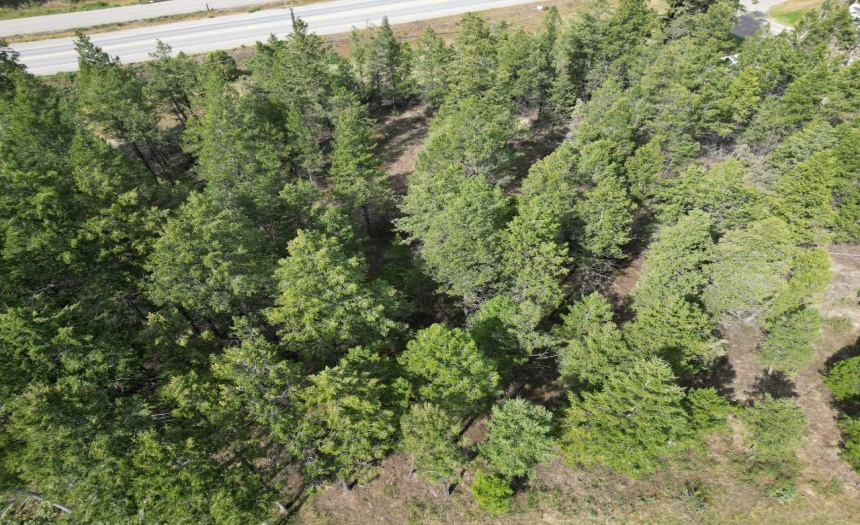 Lot 6 EMERALD EAST FRONTAGE ROAD, Windermere, British Columbia V0A1K2, ,Vacant Land,For Sale,EMERALD EAST FRONTAGE ROAD,2467175