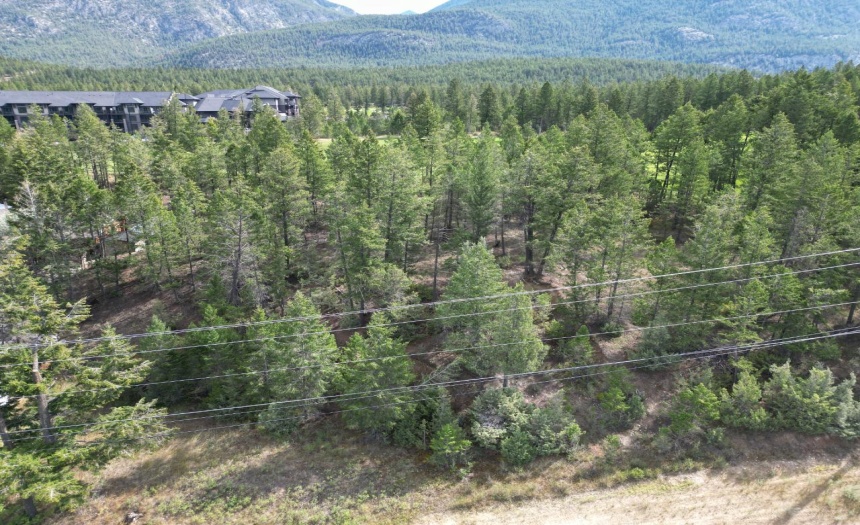 Lot 6 EMERALD EAST FRONTAGE ROAD, Windermere, British Columbia V0A1K2, ,Vacant Land,For Sale,EMERALD EAST FRONTAGE ROAD,2467175