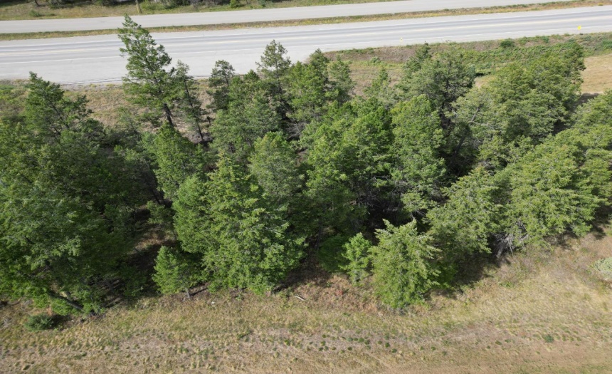 Lot 7 EMERALD EAST FRONTAGE ROAD, Windermere, British Columbia V0A1K2, ,Vacant Land,For Sale,EMERALD EAST FRONTAGE ROAD,2467177