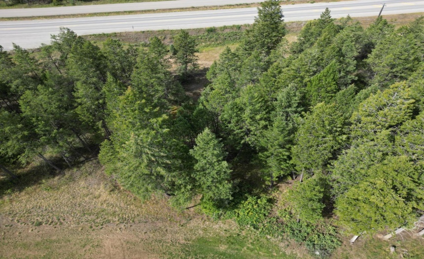 Lot 7 EMERALD EAST FRONTAGE ROAD, Windermere, British Columbia V0A1K2, ,Vacant Land,For Sale,EMERALD EAST FRONTAGE ROAD,2467177