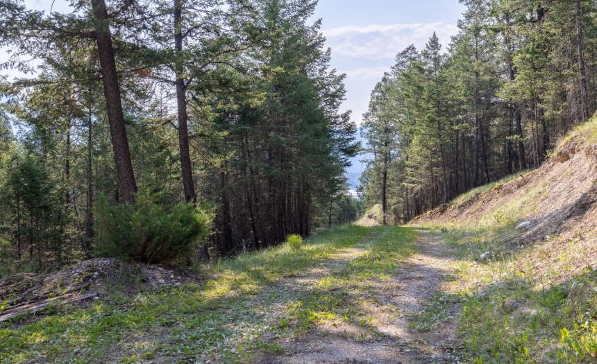 Lot 32A TOBY HILL ROAD, Invermere, British Columbia V0A1K5, ,Vacant Land,For Sale,TOBY HILL ROAD,2471447