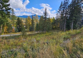 9 ALPINE TRAIL LANE, Fernie, British Columbia V0B1M5, ,Vacant Land,For Sale,ALPINE TRAIL LANE,2473549