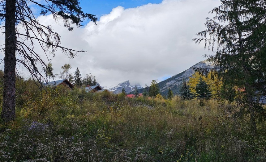 9 ALPINE TRAIL LANE, Fernie, British Columbia V0B1M5, ,Vacant Land,For Sale,ALPINE TRAIL LANE,2473549