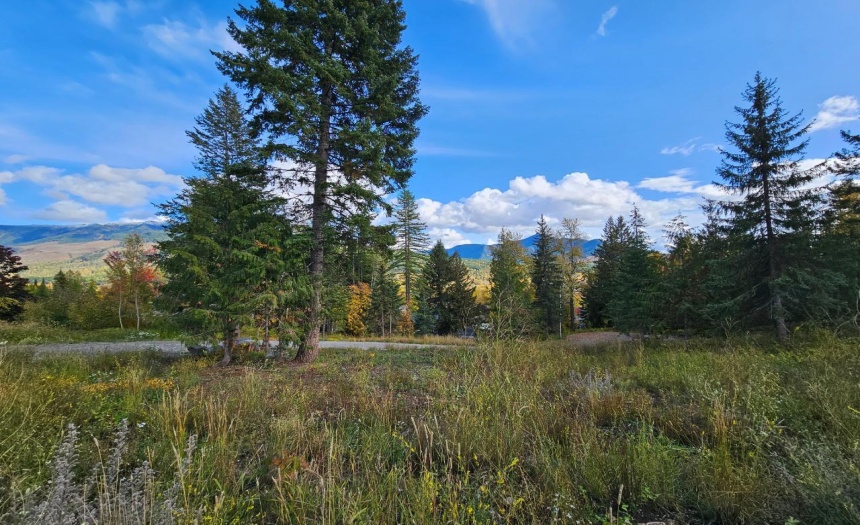 9 ALPINE TRAIL LANE, Fernie, British Columbia V0B1M5, ,Vacant Land,For Sale,ALPINE TRAIL LANE,2473549