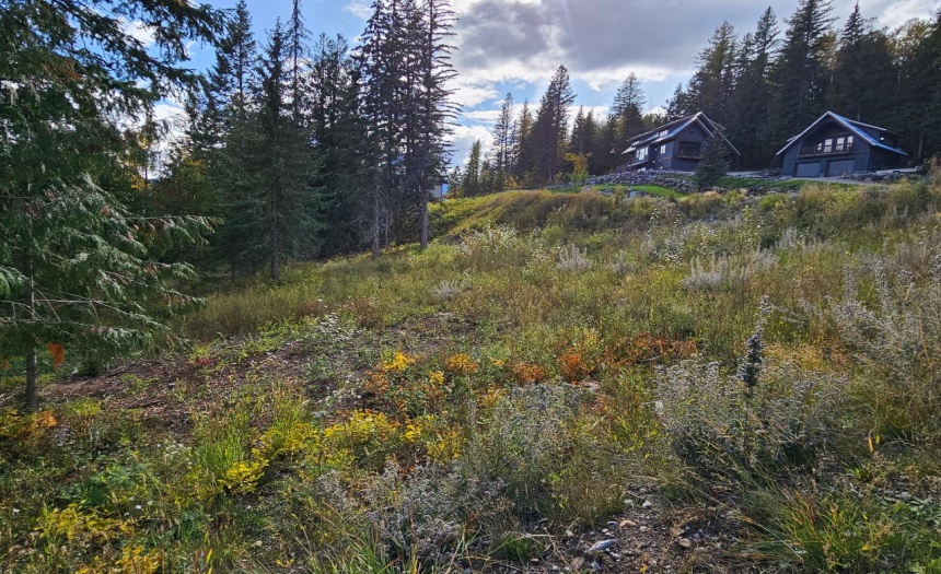 9 ALPINE TRAIL LANE, Fernie, British Columbia V0B1M5, ,Vacant Land,For Sale,ALPINE TRAIL LANE,2473549