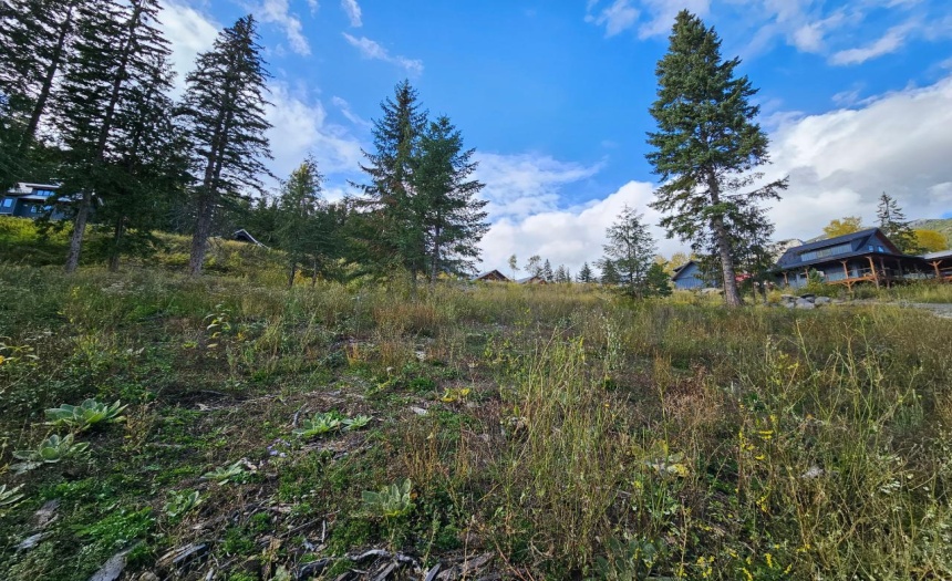 9 ALPINE TRAIL LANE, Fernie, British Columbia V0B1M5, ,Vacant Land,For Sale,ALPINE TRAIL LANE,2473549