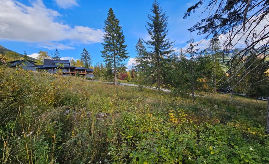 9 ALPINE TRAIL LANE, Fernie, British Columbia V0B1M5, ,Vacant Land,For Sale,ALPINE TRAIL LANE,2473549