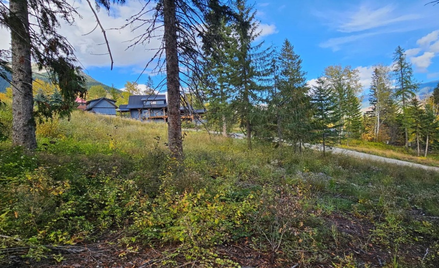 9 ALPINE TRAIL LANE, Fernie, British Columbia V0B1M5, ,Vacant Land,For Sale,ALPINE TRAIL LANE,2473549