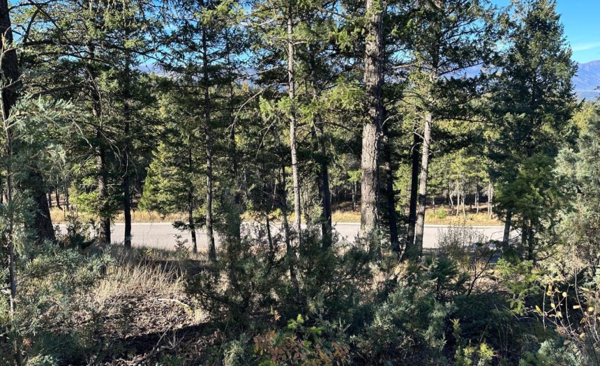 Lot 20 CROOKED TREE PLACE, Fairmont Hot Springs, British Columbia V0B1L2, ,Vacant Land,For Sale,CROOKED TREE PLACE,2473616