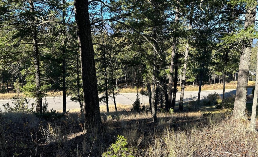 Lot 20 CROOKED TREE PLACE, Fairmont Hot Springs, British Columbia V0B1L2, ,Vacant Land,For Sale,CROOKED TREE PLACE,2473616