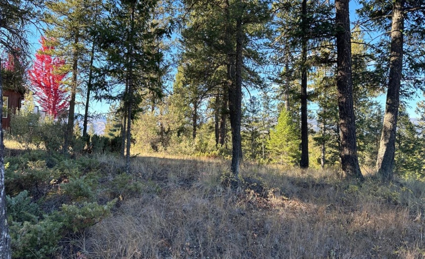 Lot 20 CROOKED TREE PLACE, Fairmont Hot Springs, British Columbia V0B1L2, ,Vacant Land,For Sale,CROOKED TREE PLACE,2473616