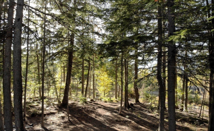 Lot 2 CROWN CREEK ROAD, Gray Creek, British Columbia V0B1S0, ,Single Family,For Sale,CROWN CREEK ROAD,2473650