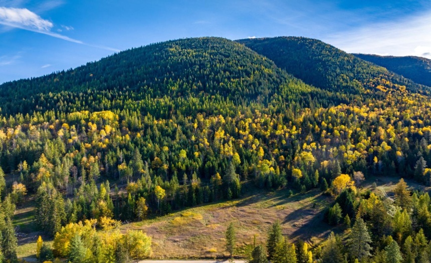 Lot 2 CORN CREEK ROAD, Creston, British Columbia V0b1G7, ,Vacant Land,For Sale,CORN CREEK ROAD,2473739