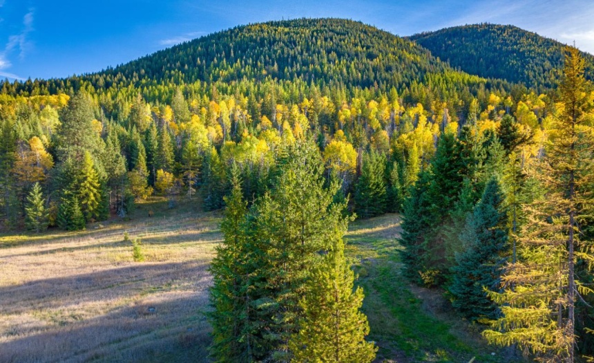 Lot 2 CORN CREEK ROAD, Creston, British Columbia V0b1G7, ,Vacant Land,For Sale,CORN CREEK ROAD,2473739