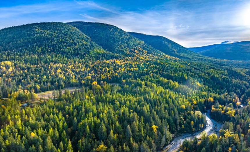 Lot 2 CORN CREEK ROAD, Creston, British Columbia V0b1G7, ,Vacant Land,For Sale,CORN CREEK ROAD,2473739