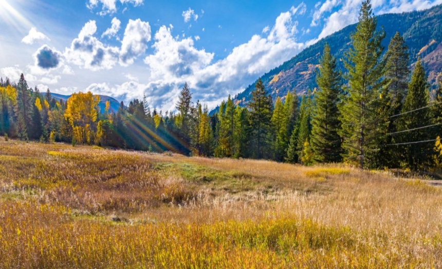 Lot 2 CORN CREEK ROAD, Creston, British Columbia V0b1G7, ,Vacant Land,For Sale,CORN CREEK ROAD,2473739