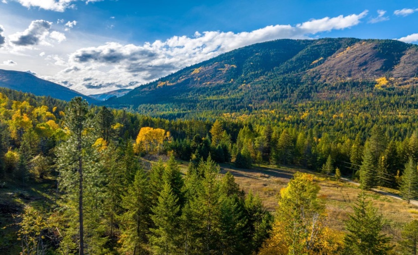 Lot 1 CORN CREEK ROAD, Creston, British Columbia V0B1G7, ,Vacant Land,For Sale,CORN CREEK ROAD,2473740