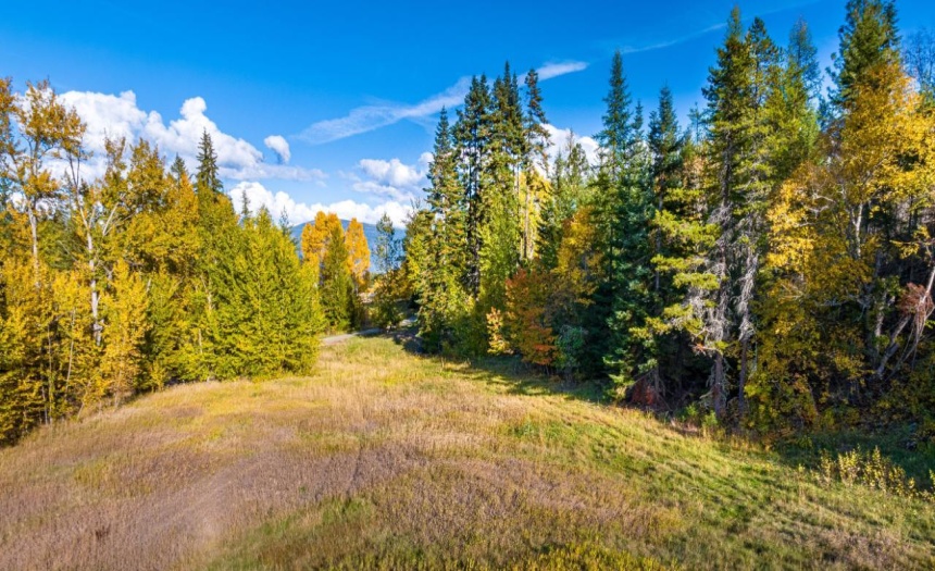 Lot 1 CORN CREEK ROAD, Creston, British Columbia V0B1G7, ,Vacant Land,For Sale,CORN CREEK ROAD,2473740