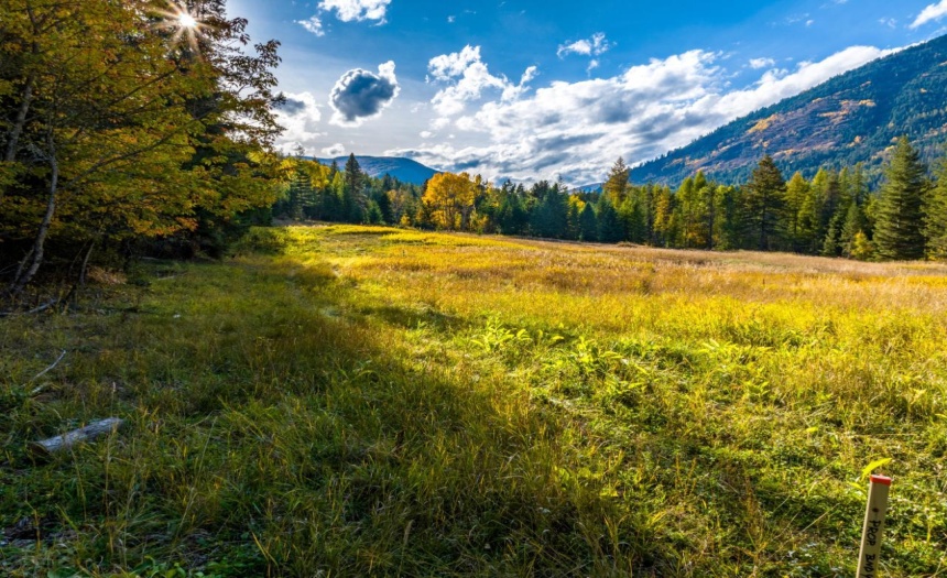 Lot 1 CORN CREEK ROAD, Creston, British Columbia V0B1G7, ,Vacant Land,For Sale,CORN CREEK ROAD,2473740