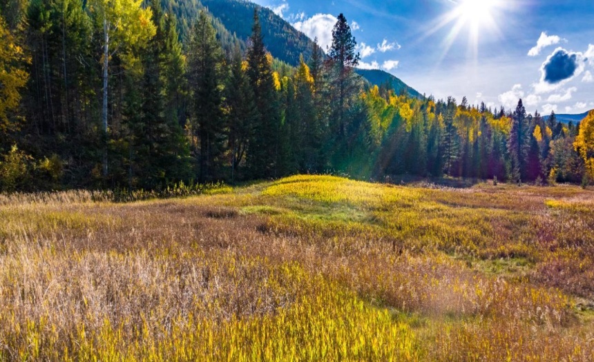 Lot 1 CORN CREEK ROAD, Creston, British Columbia V0B1G7, ,Vacant Land,For Sale,CORN CREEK ROAD,2473740