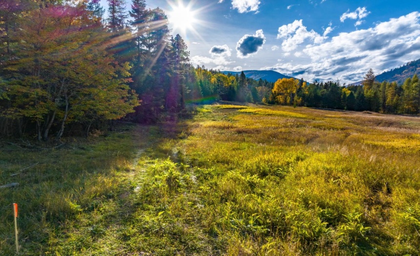 Lot 1 CORN CREEK ROAD, Creston, British Columbia V0B1G7, ,Vacant Land,For Sale,CORN CREEK ROAD,2473740