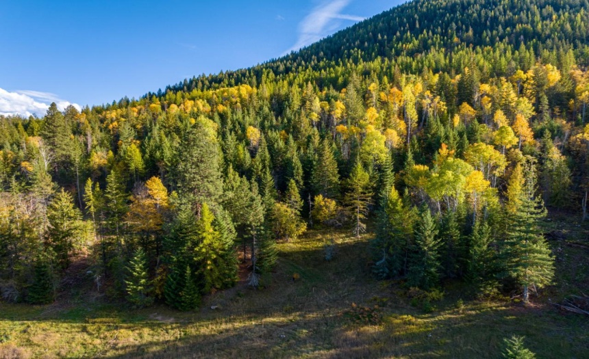 Lot 1 CORN CREEK ROAD, Creston, British Columbia V0B1G7, ,Vacant Land,For Sale,CORN CREEK ROAD,2473740