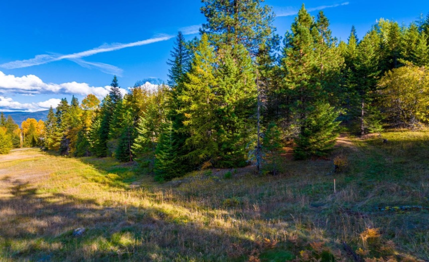 Lot 1 CORN CREEK ROAD, Creston, British Columbia V0B1G7, ,Vacant Land,For Sale,CORN CREEK ROAD,2473740