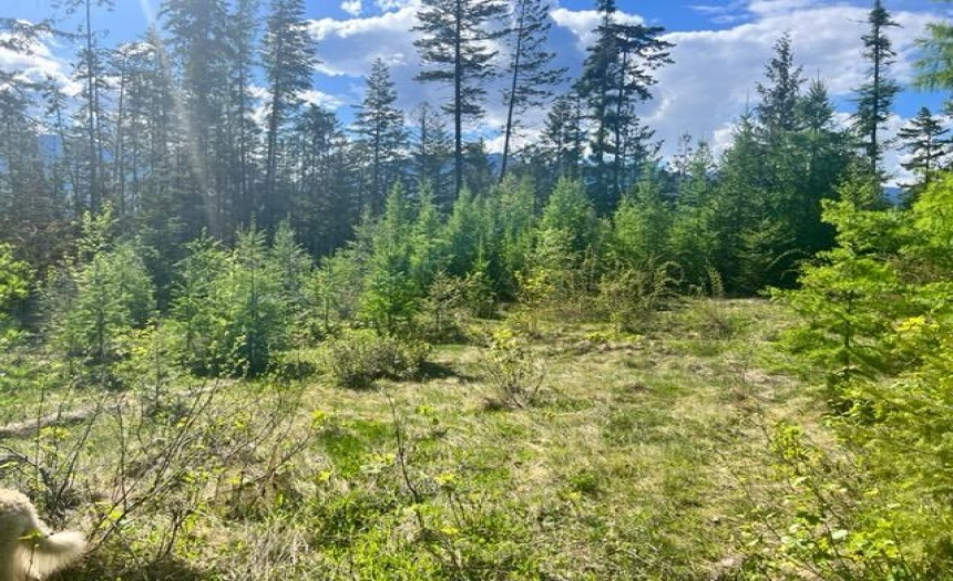 506 RIONDEL ROAD, Riondel, British Columbia V0B2B0, ,Vacant Land,For Sale,RIONDEL ROAD,2473677