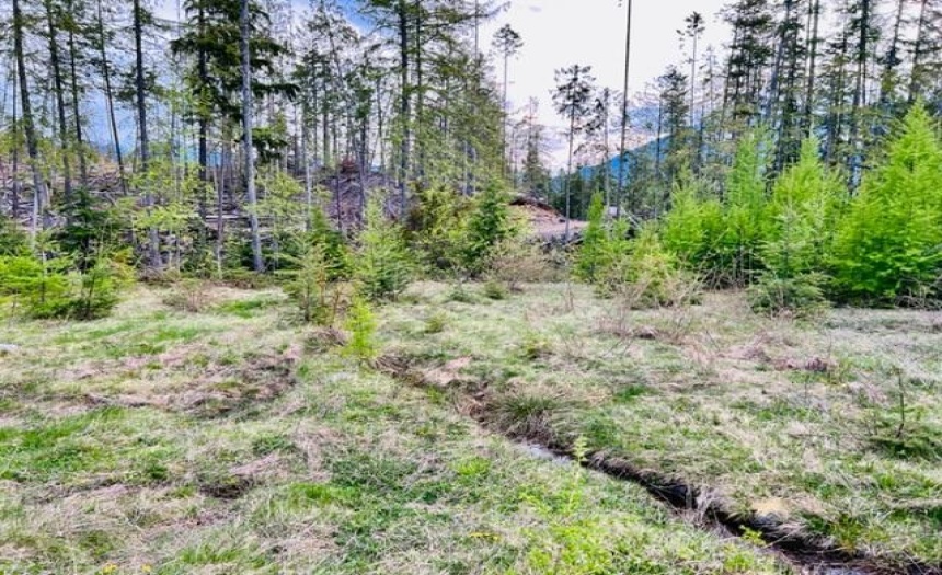 506 RIONDEL ROAD, Riondel, British Columbia V0B2B0, ,Vacant Land,For Sale,RIONDEL ROAD,2473677