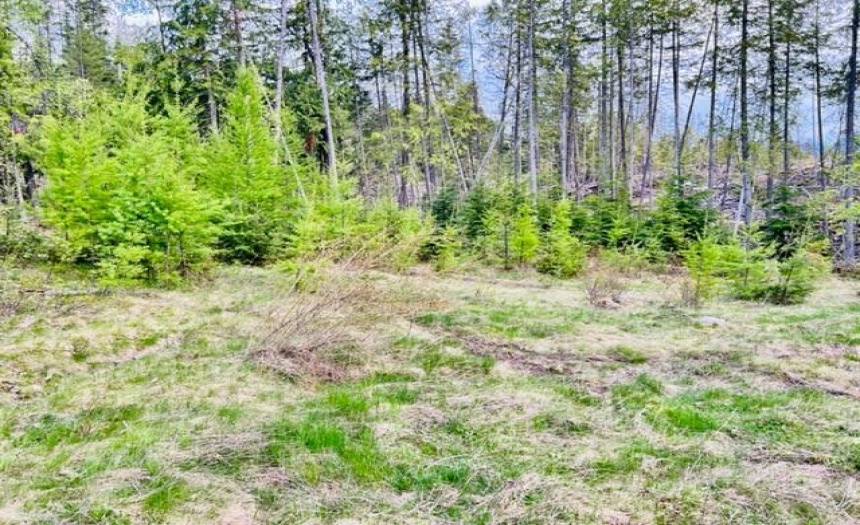 506 RIONDEL ROAD, Riondel, British Columbia V0B2B0, ,Vacant Land,For Sale,RIONDEL ROAD,2473677