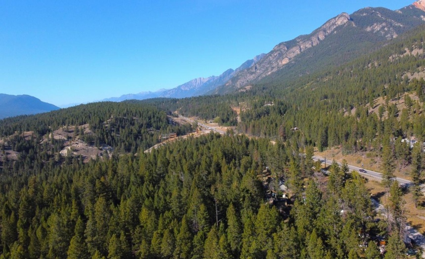 8495 DINCEY ROAD, Radium Hot Springs, British Columbia V0A1M0, ,Vacant Land,For Sale,DINCEY ROAD,2473803