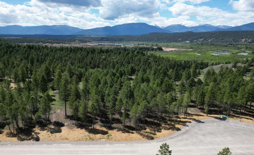 Lot 16 SADDLEWOOD LANE, Radium Hot Springs, British Columbia V0A1M0, ,Vacant Land,For Sale,SADDLEWOOD LANE,2473866