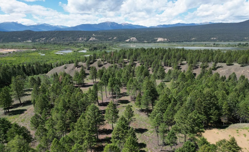 Lot 16 SADDLEWOOD LANE, Radium Hot Springs, British Columbia V0A1M0, ,Vacant Land,For Sale,SADDLEWOOD LANE,2473866